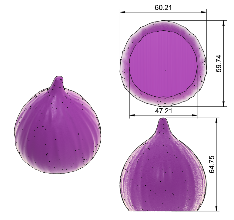 Silicone Mold for Single-Portion Fruit Fig - Fiorone