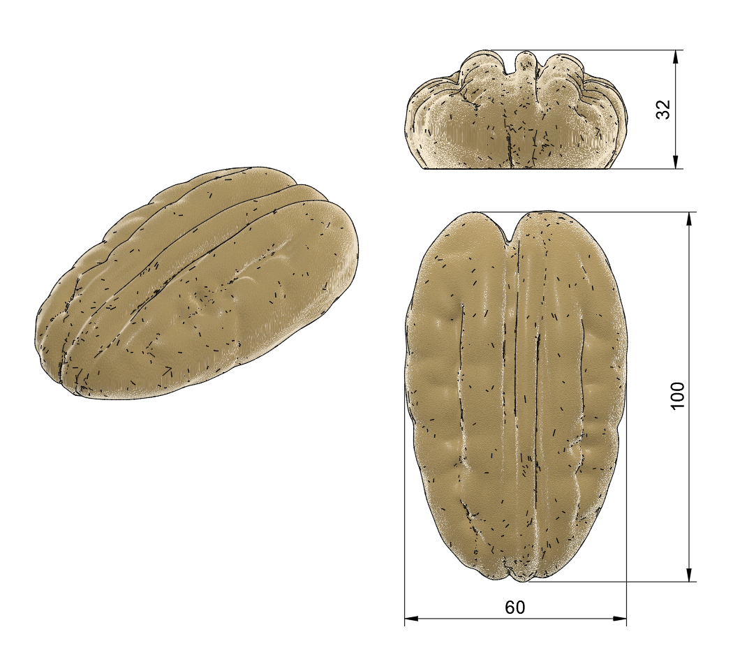 Stampo in Silicone Trompe l'oeil Fruit Noce Pecan ( Mignon - Monoporzione - Buche de Noel - Torta )