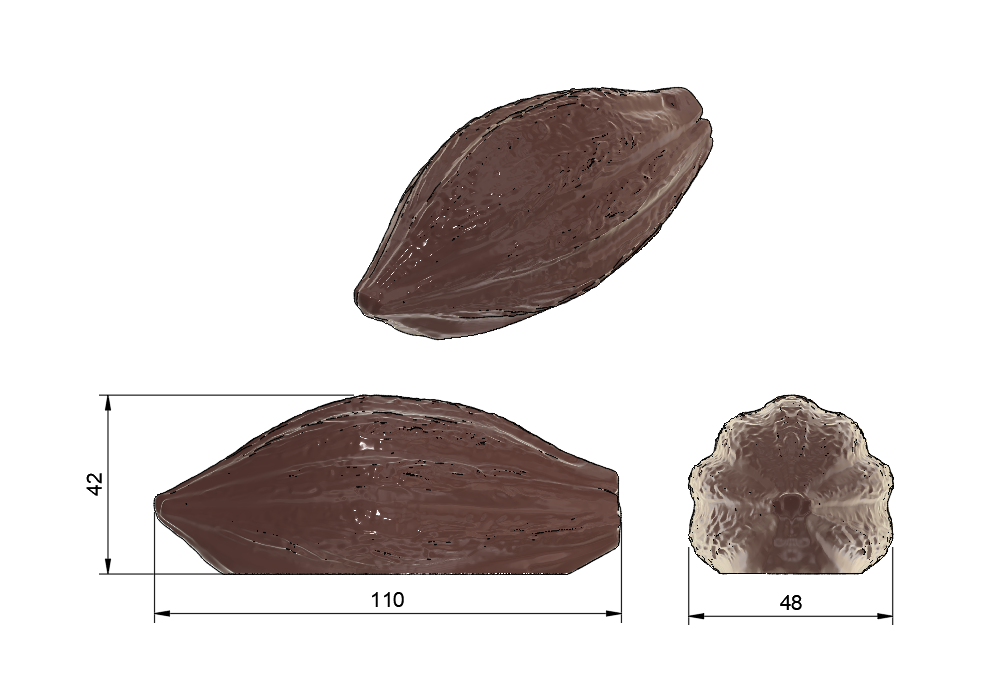 Stampo Silicone Trompe l'oeil Cabosside , Fava di Cacao ( Mignon - Monoporzione - Buche de Noel - Torta )