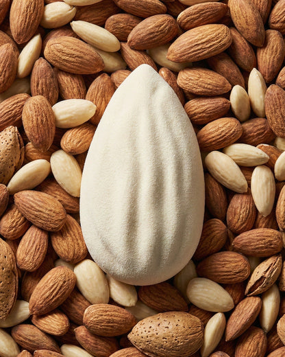 Stampo Silicone Trompe l'oeil Fruit Mandorla ( Monoporzione - Buche de Noel - Torta )