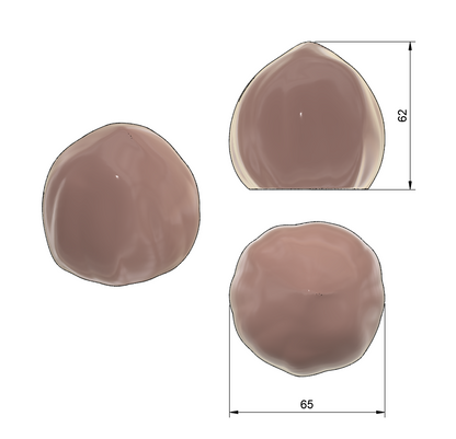 Stampo in silicone trompe l'oeil nocciola per monoporzioni - vista 3 - Essence Easy Pastry Lab